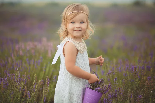 Carino piccolo bambino ragazza blunga che cammina in posa sul prato della foresta lavanda selvaggia indossando elegante asciugatrice bianca e tenendo viola secchio cesto orsacchiotto amico in piccole mani da solo . — Foto Stock