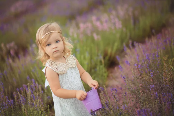 一人の小さな手でスタイリッシュな白い drerss と持株紫バケツ バスケット テディベア友人を着て森林野生ラベンダーの草原でポーズを歩いてかわいい赤ちゃん blong 女の子. — ストック写真