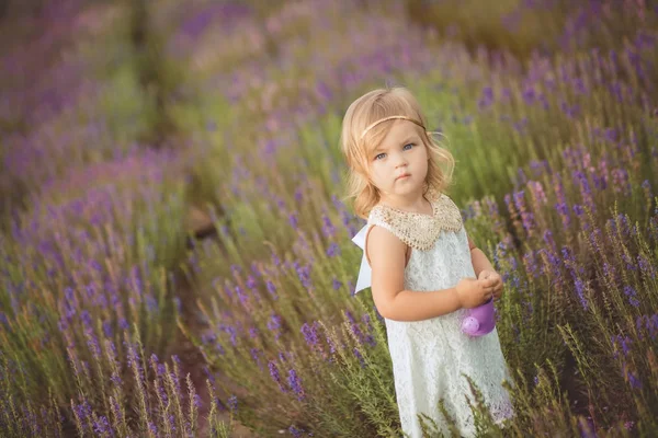 Mignon petit bébé fille blong marche posant sur prairie de lavande sauvage de forêt portant drerss blanc élégant et tenant panier seau violet ours en peluche ami dans de petites mains seul . — Photo