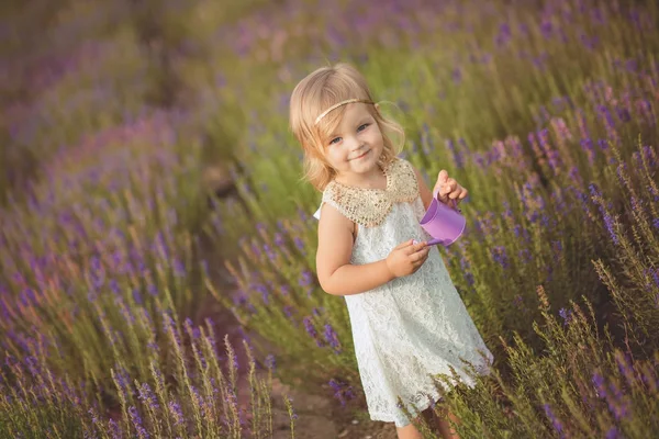 Cute little baby blong girl walking posing on meadow of forest wild lavender wearing stylish white drerss and holding purple bucket basket teddy bear friend in tiny hands alone. — Stock Photo, Image