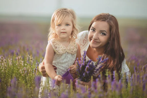 Happy mladá rozkošná brunetka matka maminka pózuje, líbat její malá dcera dítě holčička pole louce s Manda z Bromsgrove trug fialové květiny kytice levandule — Stock fotografie