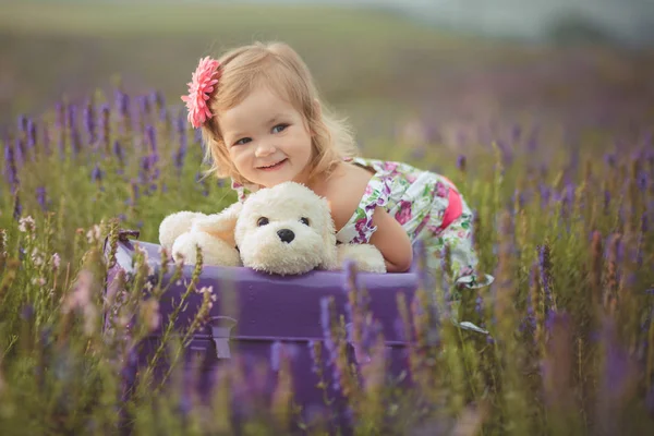 Милая маленькая блондинка ходит, позируя на лугу из лесной дикой лаванды в стильных красочных сушилках и держа плюшевого медвежонка в крошечных руках в одиночестве сидя на фиолетовом чемодане . — стоковое фото