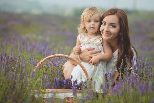 Joyeux jeune adorable mère brune mère posant embrasser sa petite fille enfant fille dans la prairie de champ de lavande avec bouquet maund trug de fleurs violettes — Photo