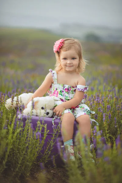 Bonito pouco bebê blong menina andando posando no prado de floresta selvagem lavanda vestindo elegante colorido drerss e segurando ursinho amigo em minúsculas mãos sozinho sentado no roxo tronco caso saco — Fotografia de Stock