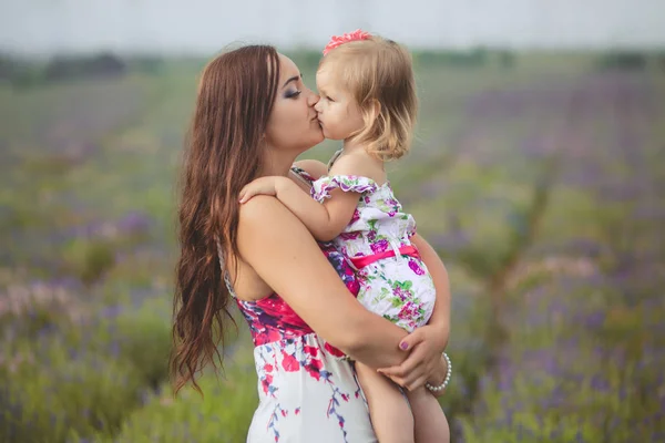 Happy young adorable brunette mother mom posing kissing her tiny little daughter child girl in lavender field meadow with bouquet maund trug of purple flowers — Stock Photo, Image