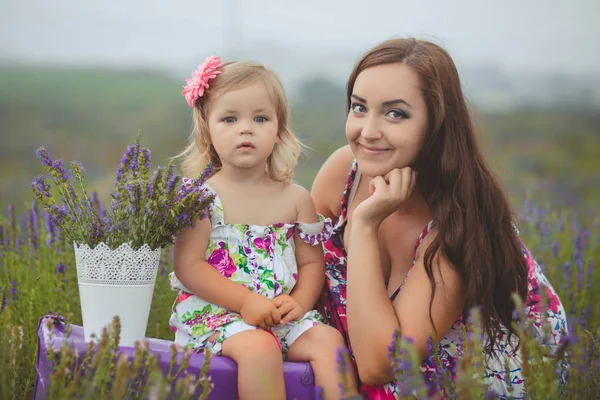 Happy mladá rozkošná brunetka matka maminka pózuje, líbat její malá dcera dítě holčička pole louce s Manda z Bromsgrove trug fialové květiny kytice levandule — Stock fotografie