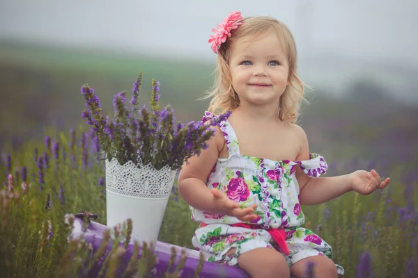 Cute little blong dziewczynka walking stawianiu na łąka Lawenda dziki Las noszenie stylowy kolorowy drerss i trzymając przyjaciel Miś w małe ręce sam siedzi na fioletowy pnia pokrowiec. — Zdjęcie stockowe