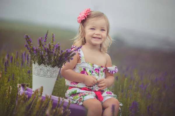 Cute little baby blong girl walking posing on meadow of forest wild lavender wearing stylish colourful drerss and holding teddy bear friend in tiny hands alone sitting on purple trunk case bag. — Stock Photo, Image