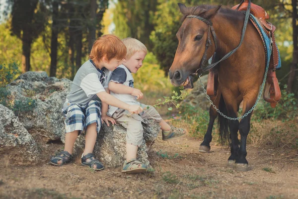 英俊的年轻男孩与红头发和蓝眼睛玩他的朋友马小马在森林里。巨大的爱在孩子 shild 和动物宠物农场之间 — 图库照片