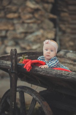 Mavi gözlü tartan onay elbise gömlek ve ahşap eski stil retro vagon sepeti tekerlekli elma ve kırmızı yorgan ekose şal ile poz pembe şal bandana takan yeni doğmuş kız bebek