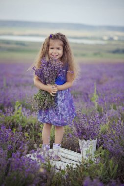 Iconic blond chestnut cute fancy dressed girl posing sit in center of lavender meadow field in velvet violet airy dress with basket bucket full of flowers happyly on vacation hollydays clipart