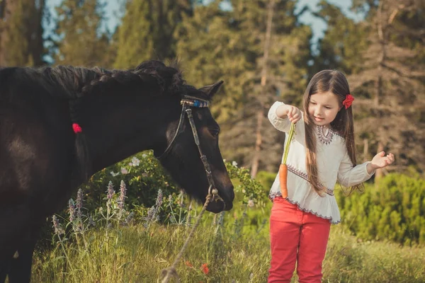 Girl with brunette hair and brown eyes stylish dressed wearing rustic village clothes white shirt and red pants on belt posing feeding black young horse pony by carrots — Stock Photo, Image