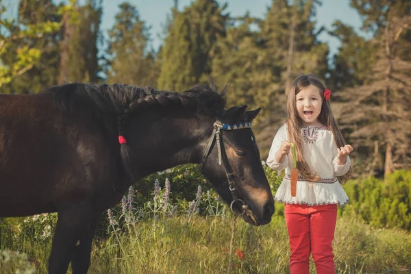 Chica con cabello moreno y ojos marrones elegante vestido con ropa de pueblo rústico camisa blanca y pantalones rojos en el cinturón posando alimentación caballo joven negro pony por zanahorias — Foto de Stock