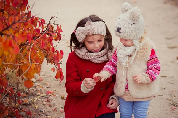 Fashion baby meisjes zusters stijlvol gekleed brunnette en blond het dragen van warme herfst kleding jassen poseren gelukkig samen in kleurrijke bos gebladerte. Geconfronteerd met freckling — Stockfoto