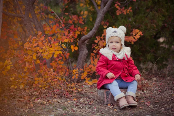 Schattig jong Russisch meisje stijlvol gekleed in warme rode handgemaakte jas blauw jeans laarzen en hoed teddybeer poseren in de herfst kleurrijk bos traject gezicht met roze Wang verslaafd — Stockfoto
