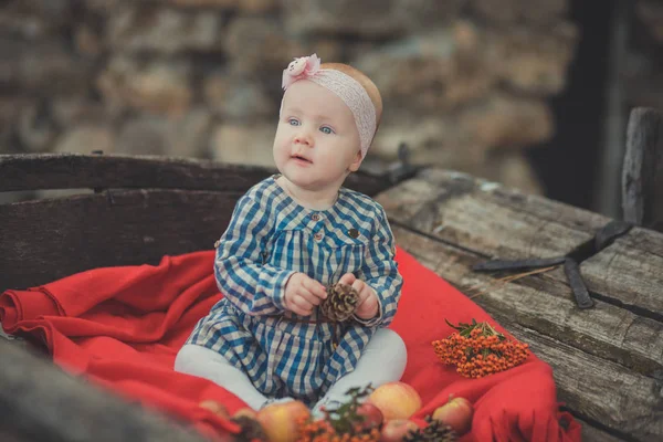 Baby Pasgeboren meisje met blauwe ogen dragen tartan selectievakje jurk shirt en roze sjaal bandana poseren op houten oude stijl retro wagen kar voortrollen met appels en rode Trooster geruite omslag — Stockfoto
