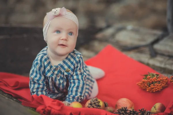 타탄 체크 드레스 셔츠와 핑크 목도리 두건 나무 오래 된 스타일 복고풍 수레 카트 trundle 사과와 빨간색이 불 무늬 랩에 포즈를 착용 하는 파란 눈을 가진 여자 아기 신생아 — 스톡 사진