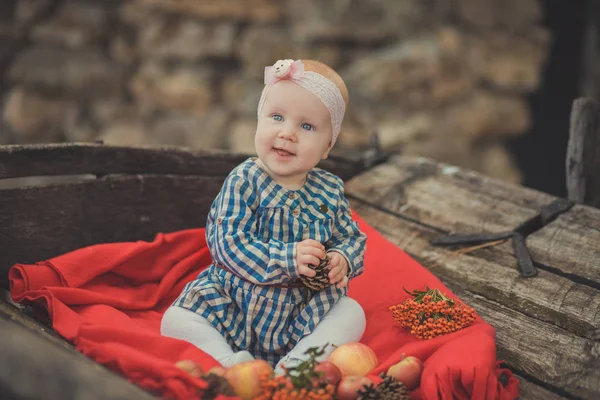 타탄 체크 드레스 셔츠와 핑크 목도리 두건 나무 오래 된 스타일 복고풍 수레 카트 trundle 사과와 빨간색이 불 무늬 랩에 포즈를 착용 하는 파란 눈을 가진 여자 아기 신생아 — 스톡 사진