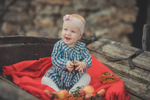 Baby Pasgeboren meisje met blauwe ogen dragen tartan selectievakje jurk shirt en roze sjaal bandana poseren op houten oude stijl retro wagen kar voortrollen met appels en rode Trooster geruite omslag — Stockfoto