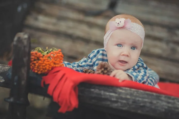 Nyfödd flicka med blå ögon bär tartan kontrollera klänning skjorta och rosa sjal bandana poserar på trä gammal stil retro vagn vagn rulla med äpplen och röda hjälparen pläd sjal — Stockfoto