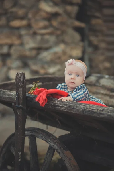 Baby newborn girl with blue eyes wearing tartan check dress shirt and pink shawl bandana posing on wooden old style retro wagon cart trundle with apples and red comforter plaid wrap — Stock Photo, Image