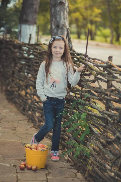 Babymeisje met blauwe ogen met brunnette vlecht haren en freckling Wang dragen witte jurk shirt en dicht bij poseren strandde Chalinolobus hek en gele emmer vol appels op zoek naar camera — Stockfoto