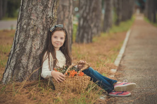 Aranyos fiatal lány freckling arcát fehér ing viselése, és közel a vadon termő bogyósok kosárban látszó-hoz fényképezőgép régi fa pózol és brunnette copf haj kék szemek — Stock Fotó