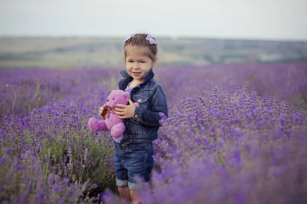 Admirável bonito loira Jovem menina de beleza em jeans azuis e camisa roxa com ursinho de pelúcia em mãos posando para câmera com rosto sorriso acolhedor no campo de lavanda lea park . — Fotografia de Stock