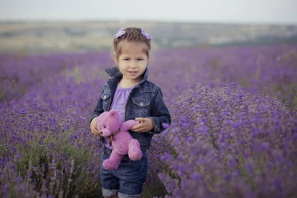 Admirável bonito loira Jovem menina de beleza em jeans azuis e camisa roxa com ursinho de pelúcia em mãos posando para câmera com rosto sorriso acolhedor no campo de lavanda lea park . — Fotografia de Stock