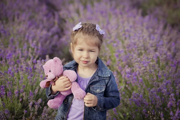 Adorabile carina bionda Giovane ragazza di bellezza in jeans blu e camicia viola con orsacchiotto in posa per le mani alla fotocamera con accogliente sorriso sul parco delle pulci campo di lavanda . — Foto Stock