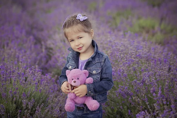 Adoreable cute blond Young beauty girl in blue jeans and purple shirt with Teddy bear in hands posing to camera with cosy smile face on lavender field lea park. — Stock Photo, Image