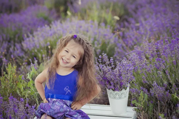 Iconique châtain blond jolie fille habillée de fantaisie posant assis au centre du champ de prairie de lavande en velours violet robe aérée avec panier seau plein de fleurs heureusement en vacances hollydays — Photo