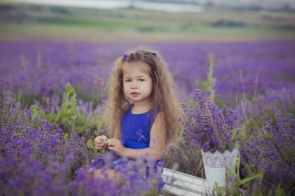 象徴的なブロンド栗派手な服を着てポーズかわいい女の子休暇観光に happyly の花のバスケット バケツとベルベット紫風通しの良いドレス ラベンダー草原フィールドの中心に座っています。 — ストック写真