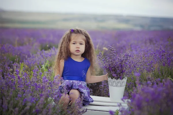 象徴的なブロンド栗派手な服を着てポーズかわいい女の子休暇観光に happyly の花のバスケット バケツとベルベット紫風通しの良いドレス ラベンダー草原フィールドの中心に座っています。 — ストック写真