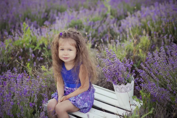 象徴的なブロンド栗派手な服を着てポーズかわいい女の子休暇観光に happyly の花のバスケット バケツとベルベット紫風通しの良いドレス ラベンダー草原フィールドの中心に座っています。 — ストック写真