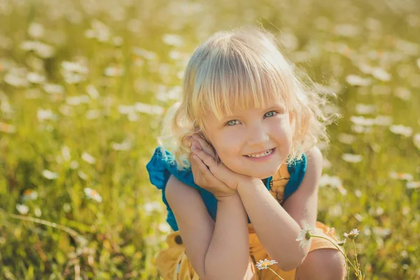 Mignon beau bébé fille avec anneau scoop balayage net sur champ de prairie marguerite en pull jaune chemise bleue posant avec sourire et cheval blanc sauvage sur fond. Adorable enfant avec camomilles . — Photo