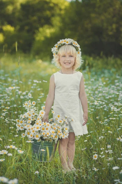 Mignon jeune fille blonde en robe blanche aérée posant sur la marguerite prairie de camomille avec bouquet de fleurs dans le panier des mains seau en métal et couronne anademon tête supérieure souriante . — Photo