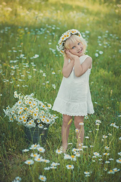 Carino giovane ragazza bionda in abito bianco arioso in posa su prato di camomilla margherita con mazzo di fiori nelle mani cestino secchio di metallo e corona di accademici testa superiore sorridente . — Foto Stock