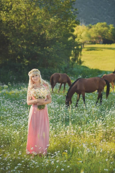 Sedutor loiro azul olhos senhora mulher em rosa vestido arejado no prado de camomila margarida segurando buquê de flores nas mãos e posando com cavalo no fundo. Cena adorável na natureza . — Fotografia de Stock
