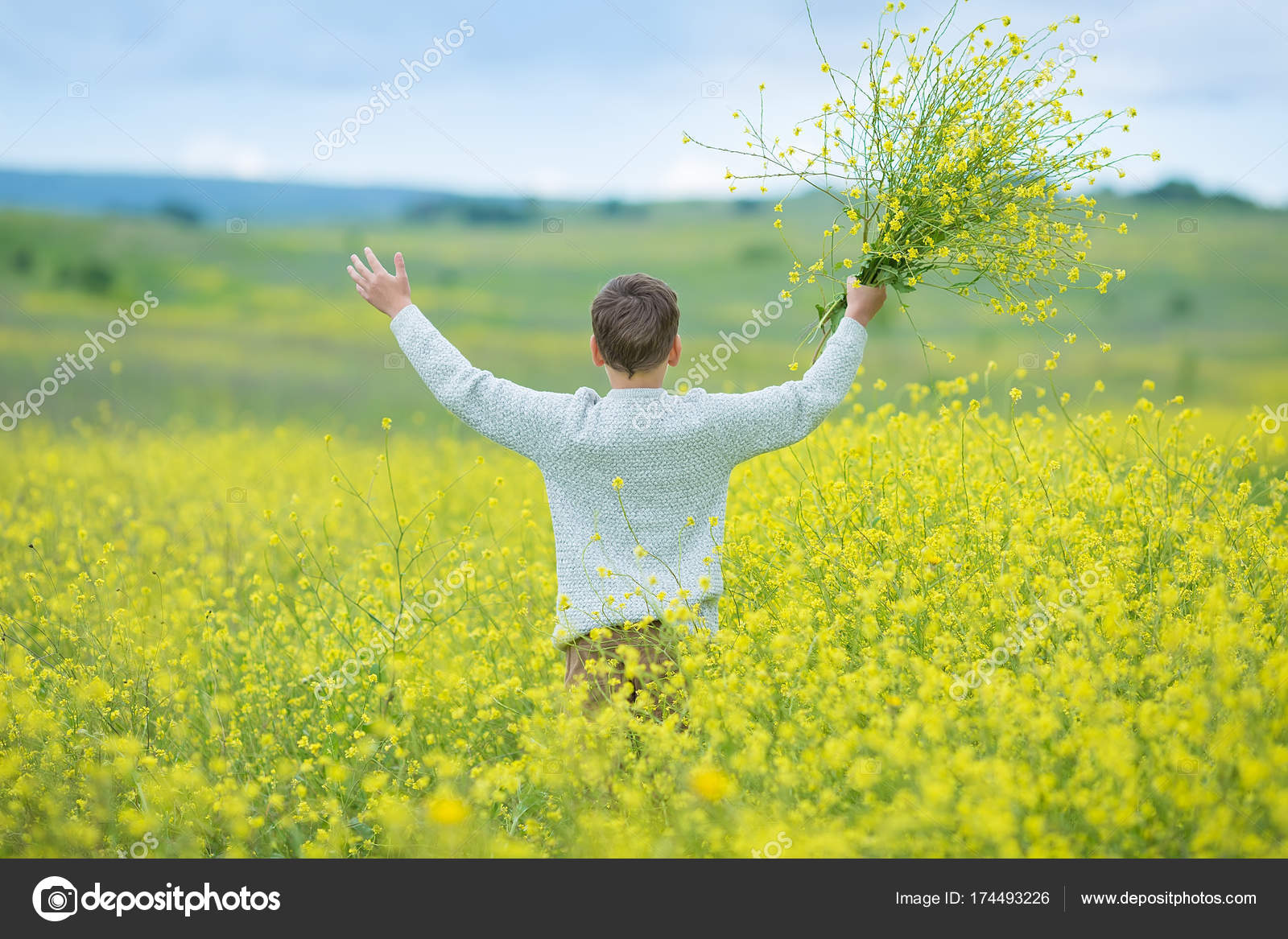 Felice bello ragazzino ragazzino sveglio su fiori di tarassaco erba ... Sognare prato verde