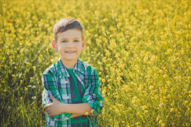Kanola alanındaki sarışın saçlı yakışıklı çocuk