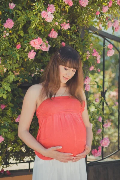 Schattig zwangere jonge moeder in luchtige rode whit jurk genieten van zomerdag dichtbij rood roze rozen bush op hek holding haar buik met happy glimlach te poseren. Mooie foto. — Stockfoto