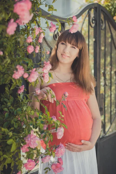 Roztomilý těhotná mladá matka ve vzdušné červená tečka šaty, pózuje těší letní den v blízkosti červené růžové růže bush na plot drží její bříško se šťastným úsměvem. Krásný obrázek. — Stock fotografie