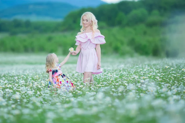 金发碧眼的母亲带着可爱的小女儿在洋甘菊领域穿着白色的粉红色连衣裙, 夏日时光享受着一起快乐的童年 — 图库照片