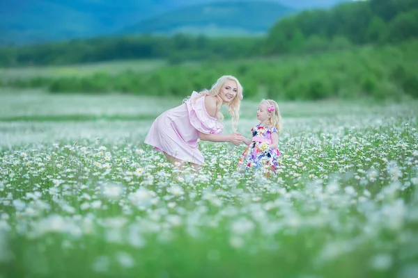 金发碧眼的母亲带着可爱的小女儿在洋甘菊领域穿着白色的粉红色连衣裙, 夏日时光享受着一起快乐的童年 — 图库照片