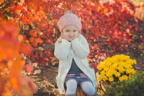 Glad liten tjej har kul att spela med fallit gyllene höstlöv — Stockfoto