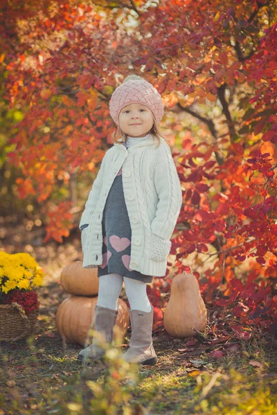 Glad liten tjej har kul att spela med fallit gyllene höstlöv — Stockfoto