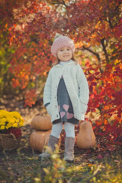 mutlu küçük kız vardır eğlenceli ile oynamaya altın düşen sonbahar yaprakları