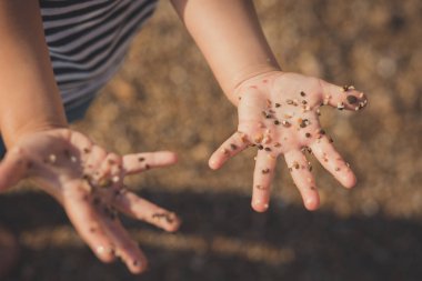 Çocuk portre eller. elden dökülen kum yaşam tarzı kişi safkan soy