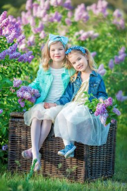 iki sevimli gülümseyen kız kız kardeş güzel birlikte leylak alan bush tüm şık elbiseler ve kot ceket giyiyor.